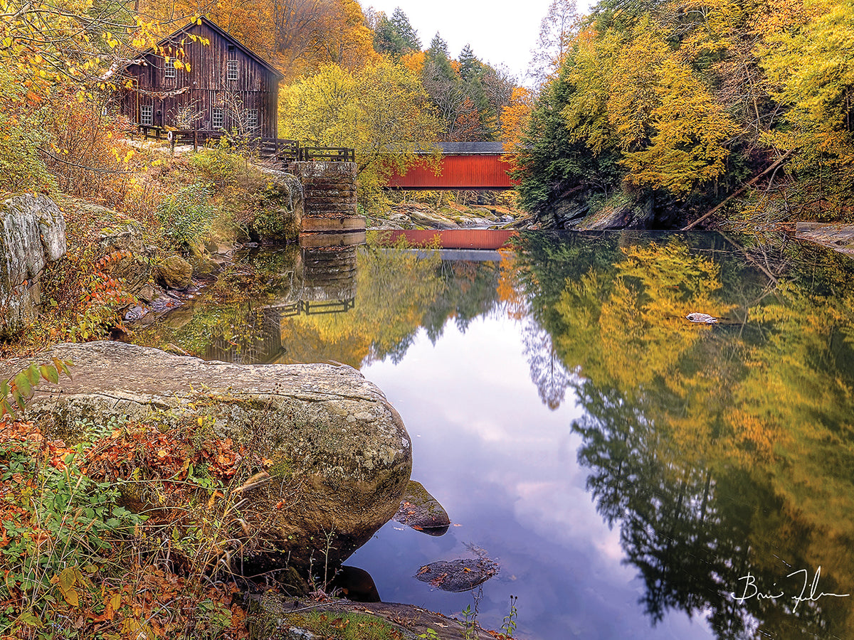 Autumn At The Mill
