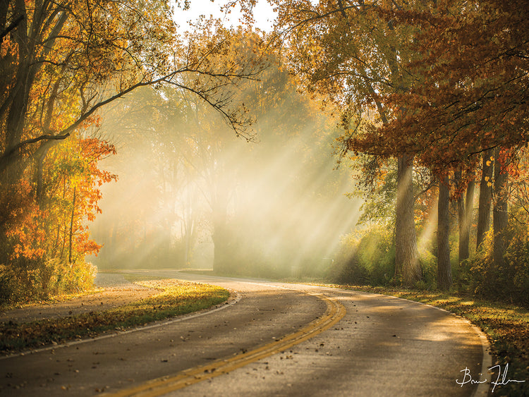 Autumn Drive