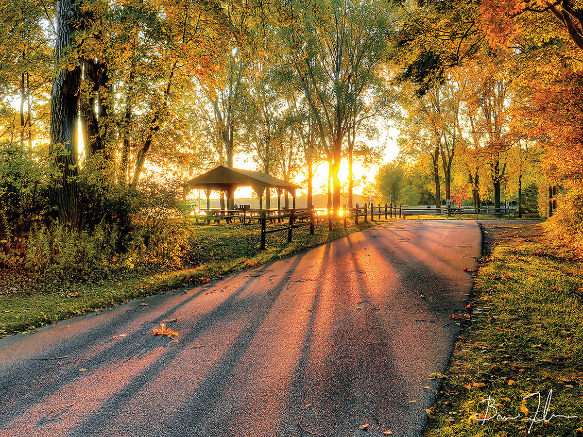 Autumn Sunrays