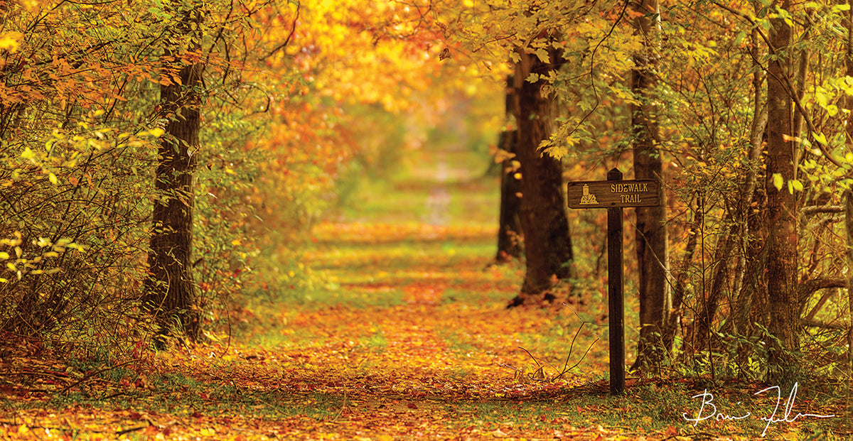 Sidewalk Trail