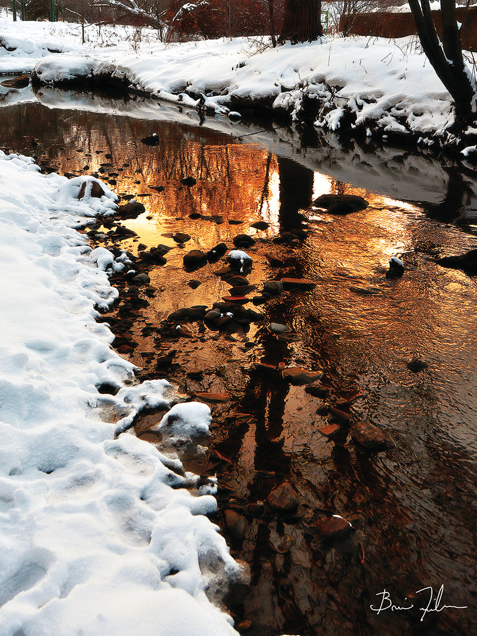 Golden Creek