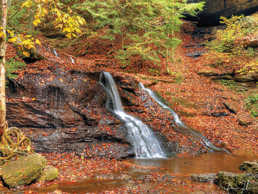 Waterfall In Autumn Canvas Art