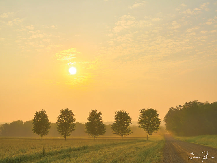 Country Morning Glow