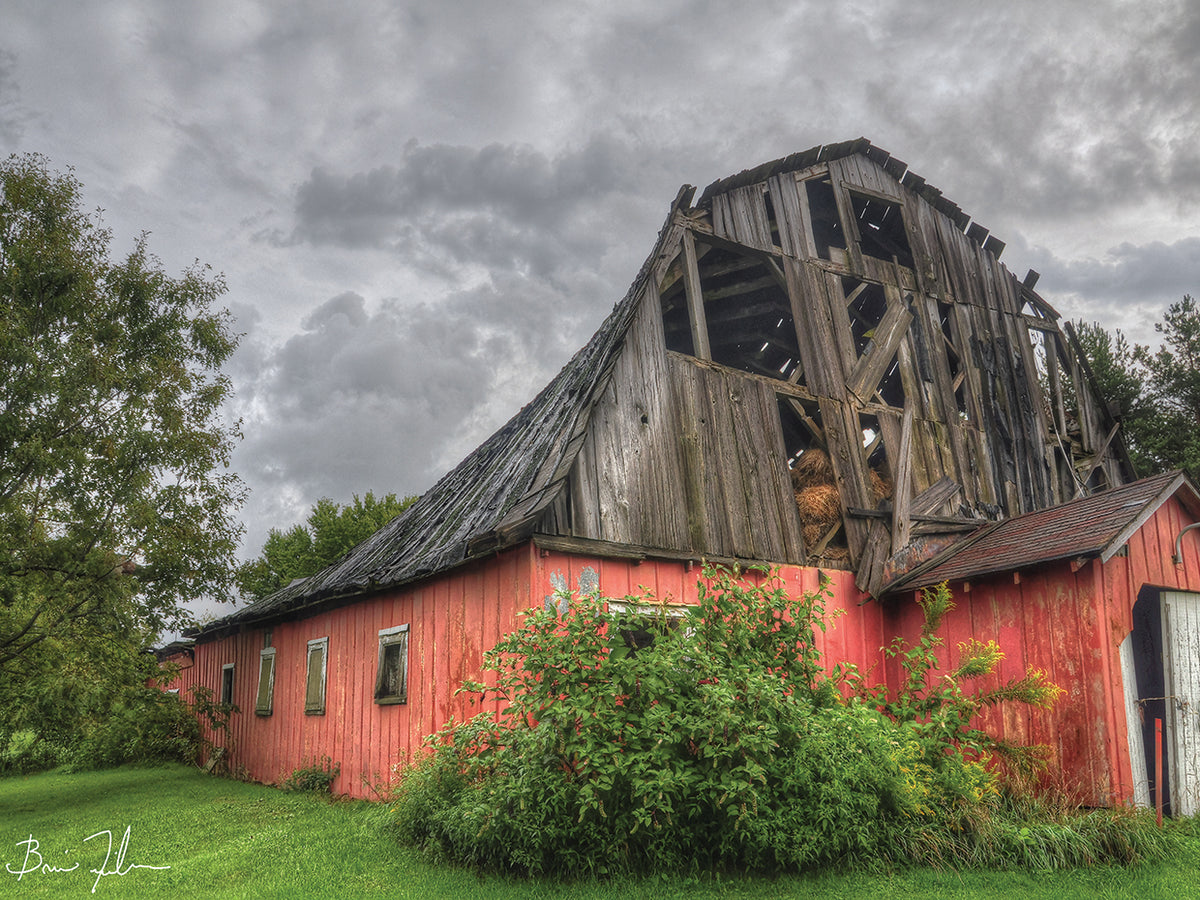 Barn Storming