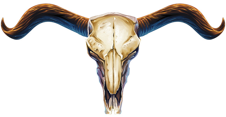 Steer Skull 02