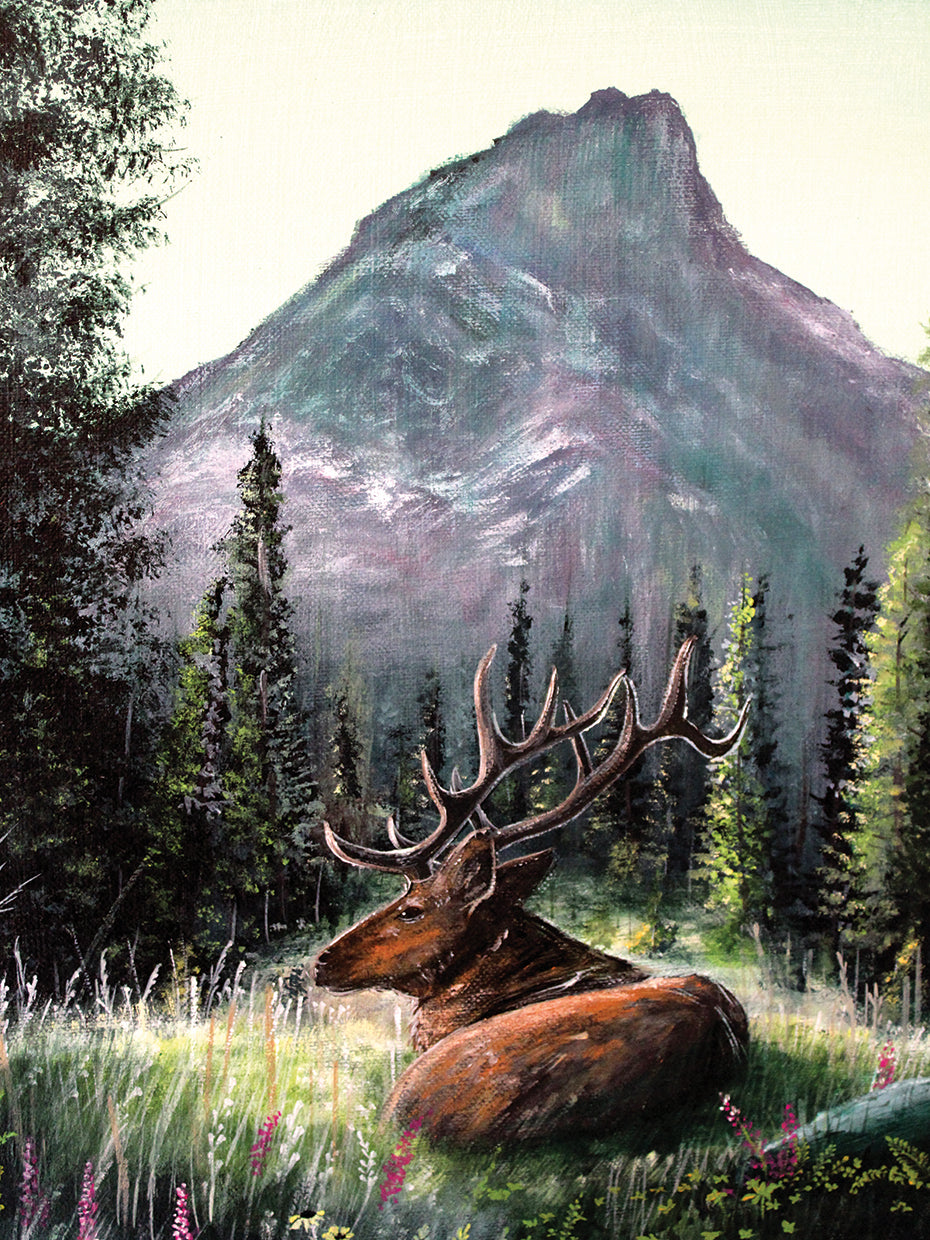 Yellowstone Elk