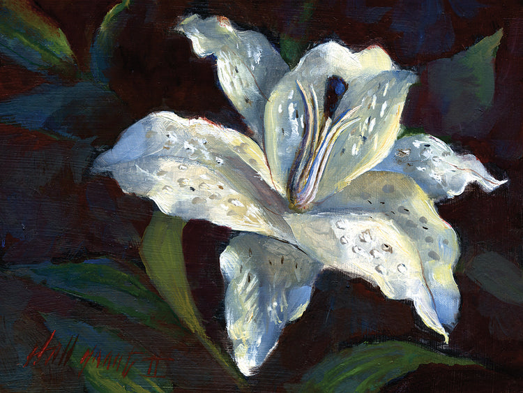 Arte de la lona del lirio blanco