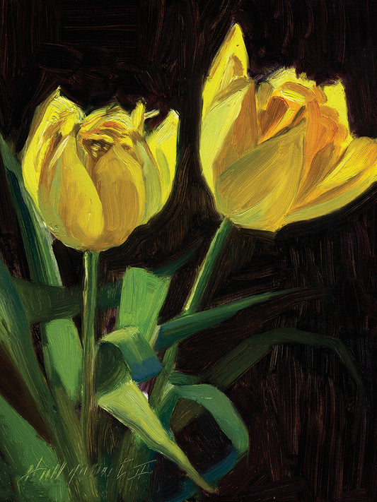 Yellow Tulips Canvas Art