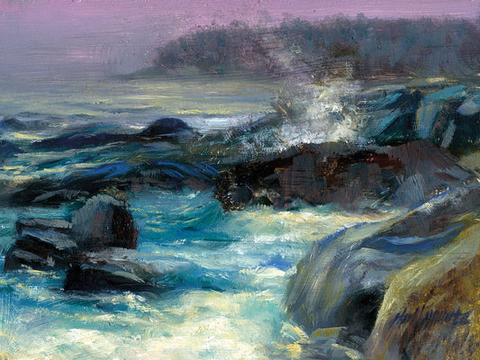 Gull Cove, Monhegan Island, Maine Canvas Art