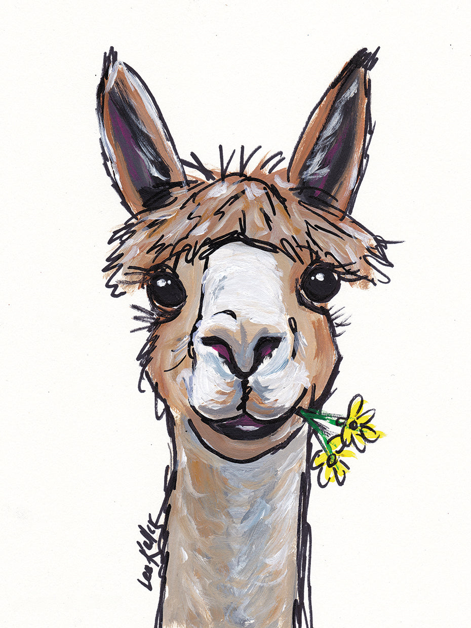 Alpaca Lycoming