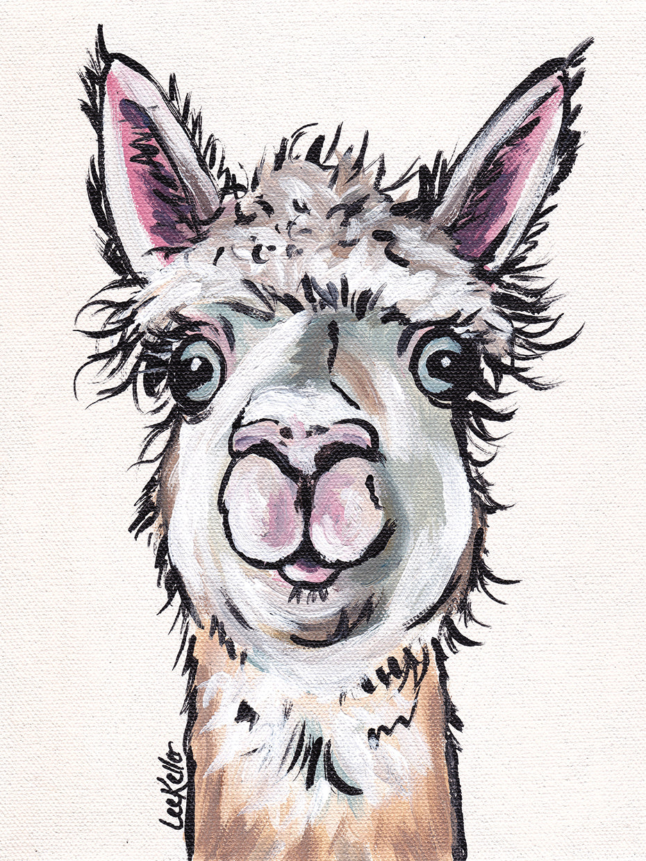 Alpaca Maggie