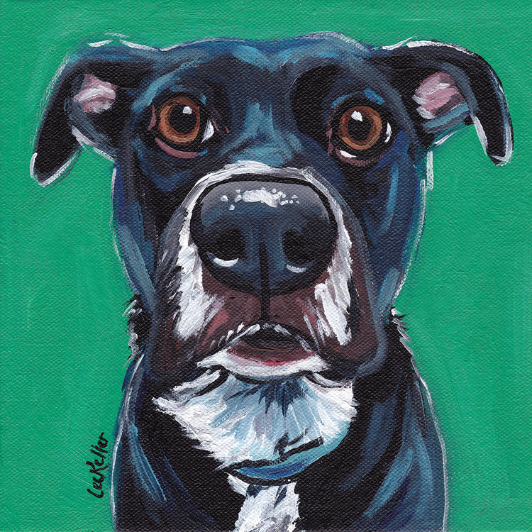 Perro negro sobre esmeralda Lienzo