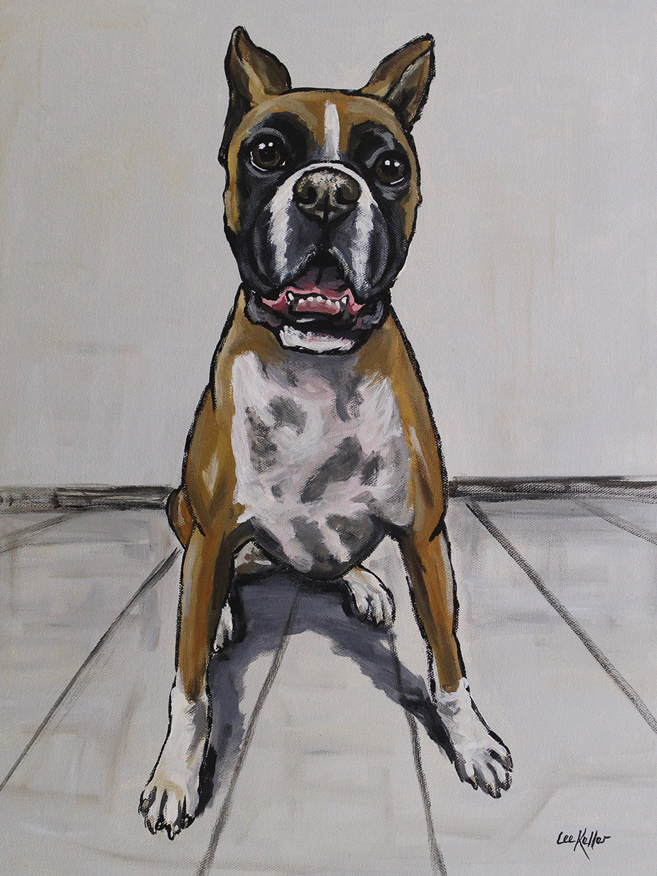 Boxer cuerpo completo expresivo Lienzo