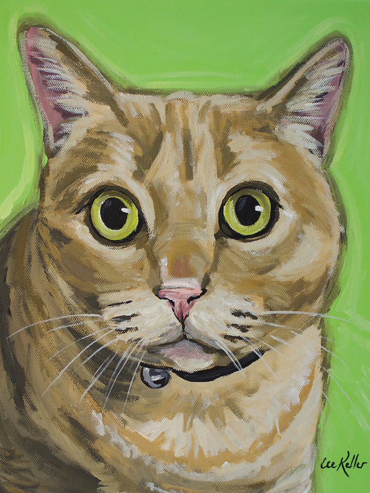 Gato Tabby Wrigley Lienzo