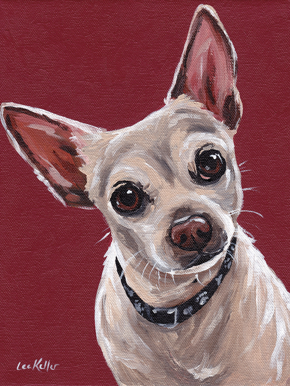 Chihuahua en rojo 1 Lienzo