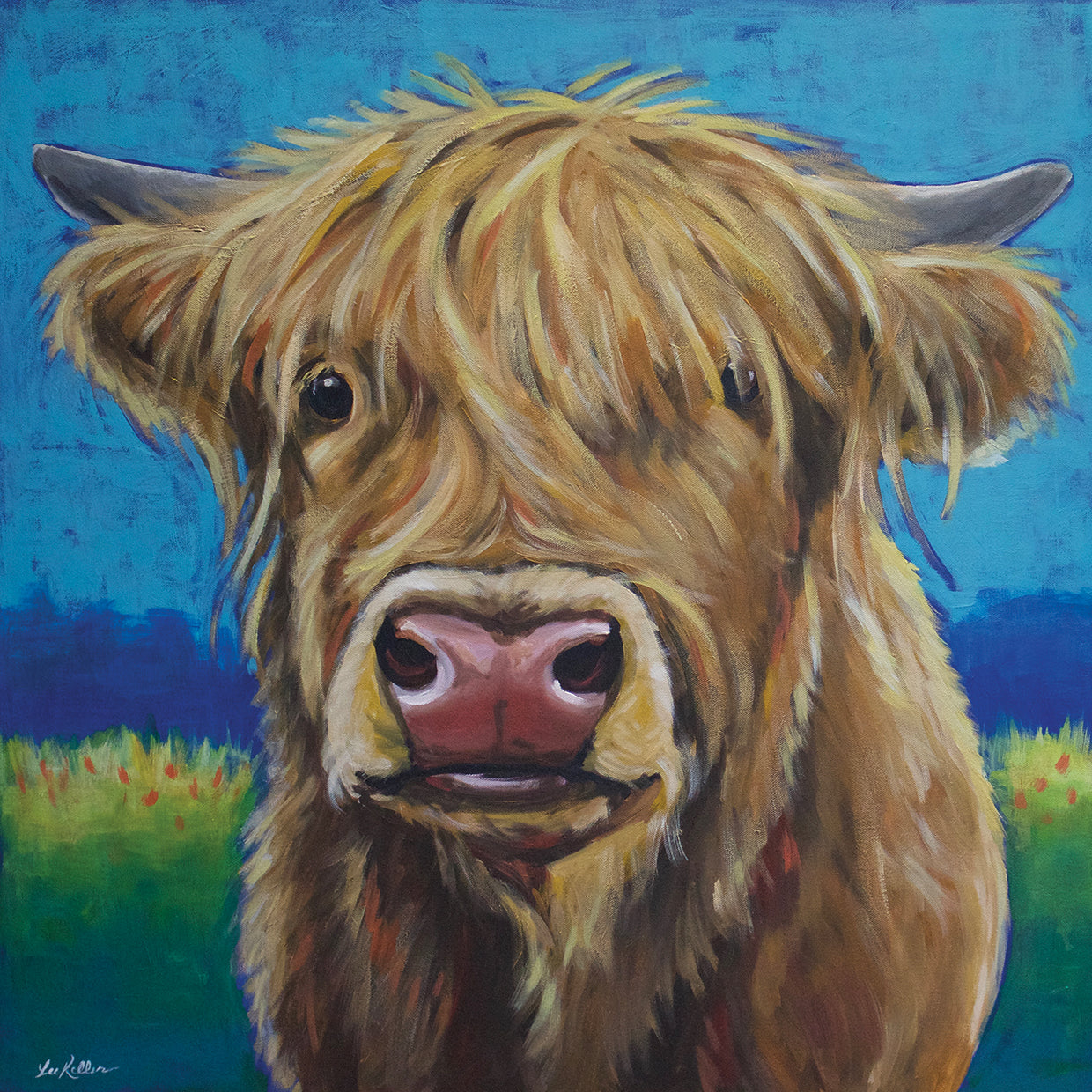 Cow Fergus Scottish Higland Cow