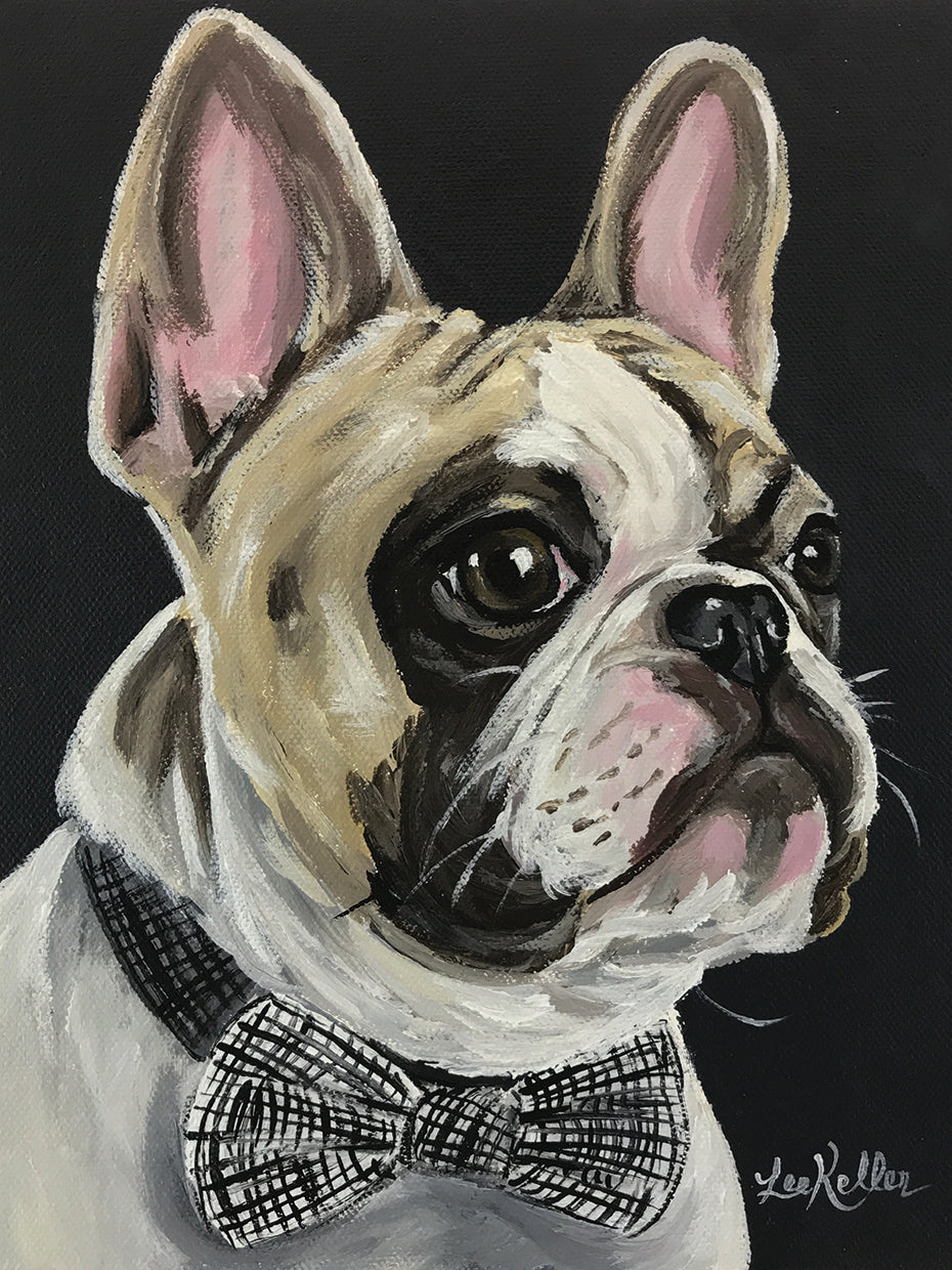 French Bulldog Spock 1