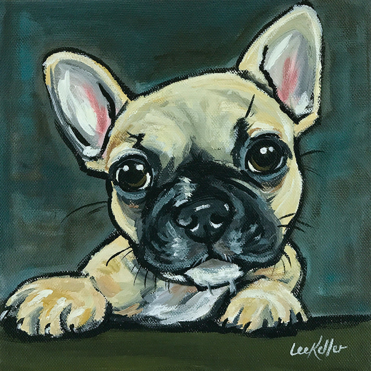 Cachorro Frenchie 1 Lienzo