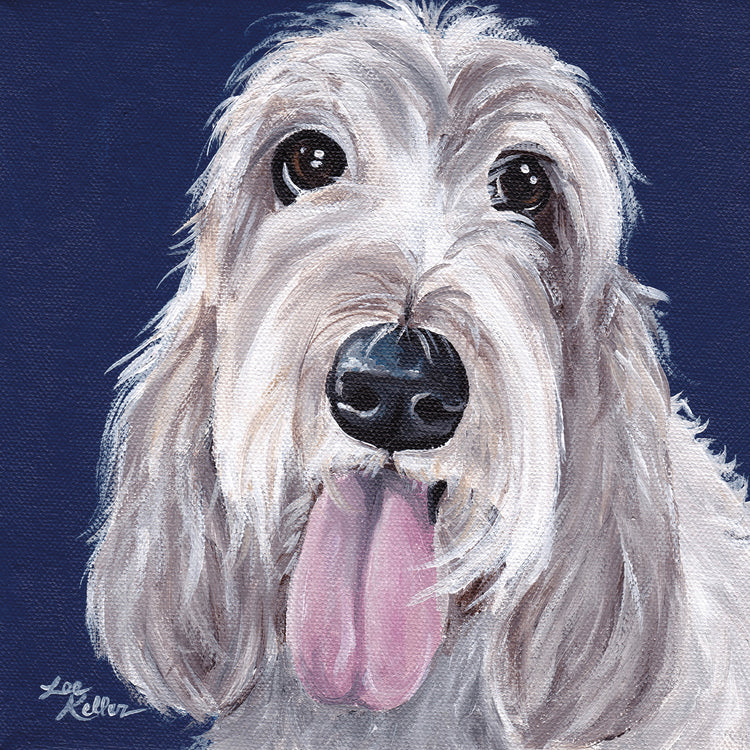 Grand Basset Grifon Vendeen