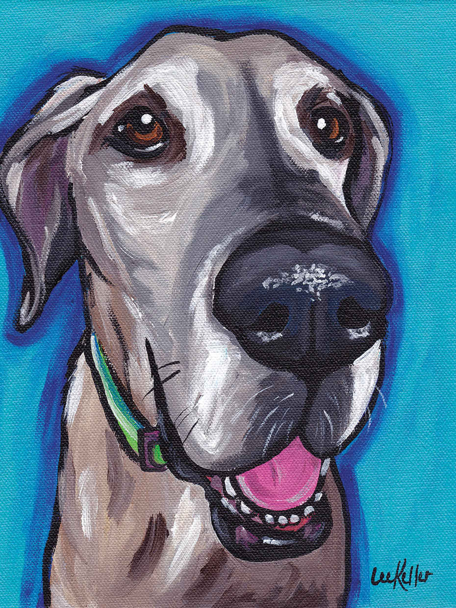 Great Dane Beau