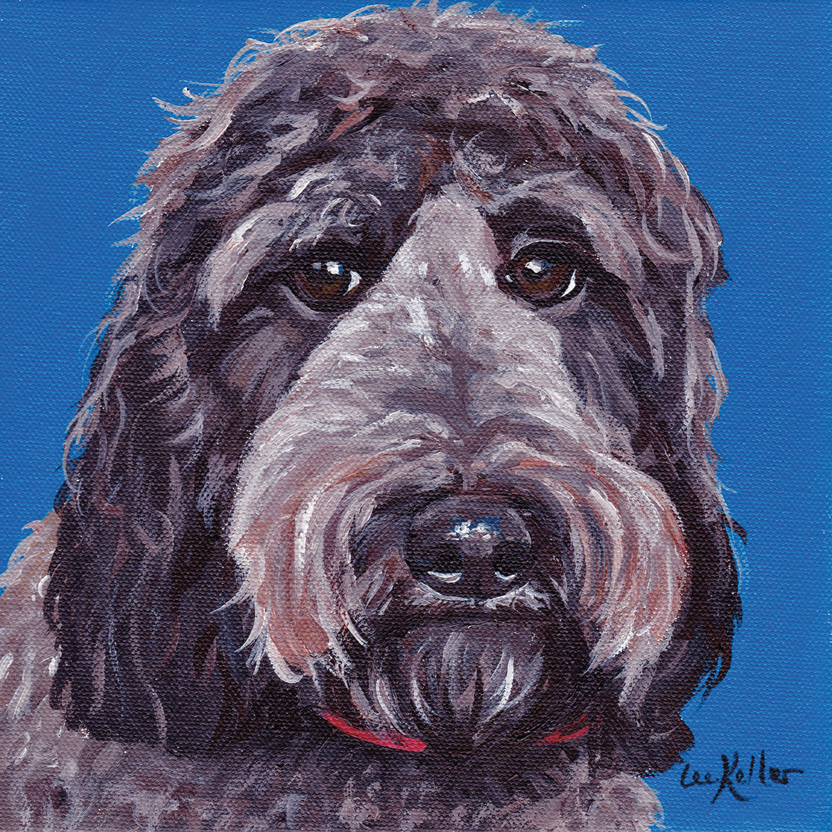 Labradoodle Black On Blue