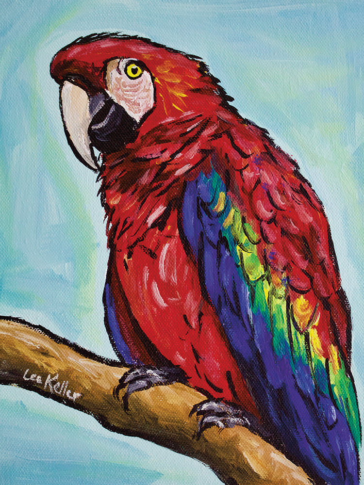 Guacamayo Lienzo