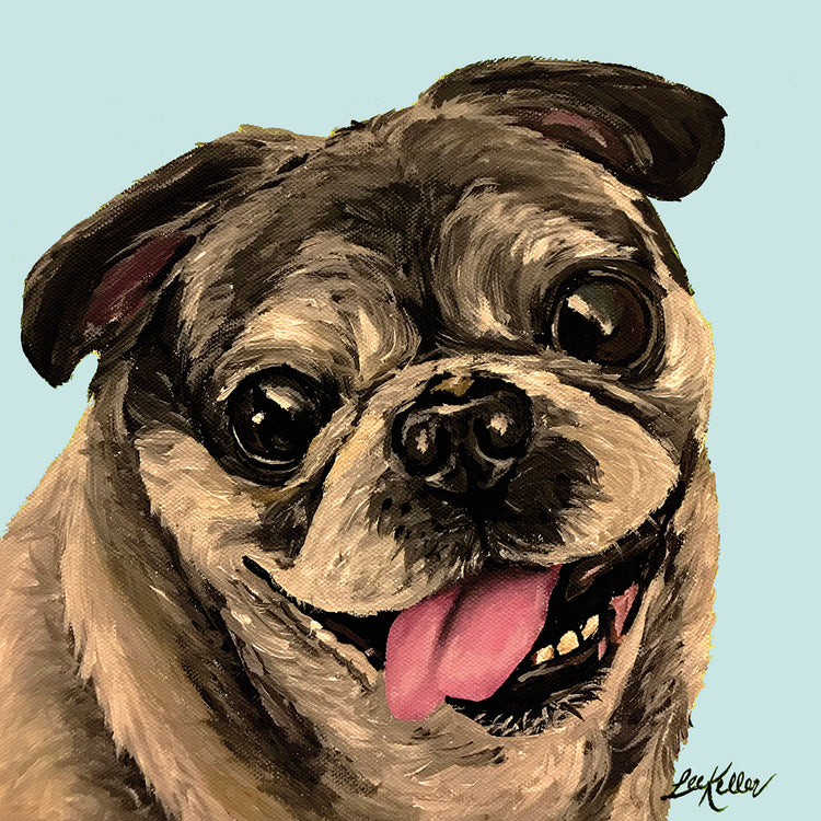 Pug en turquesa Lienzo