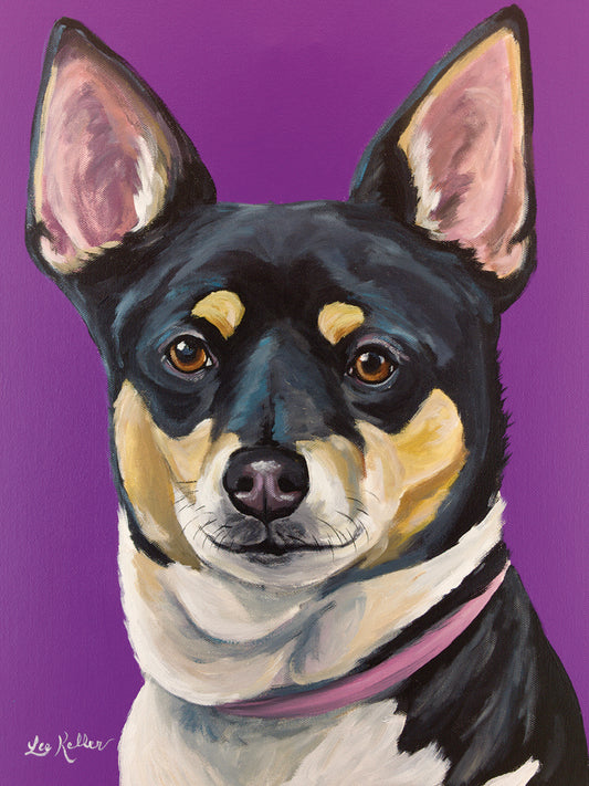 Rat Terrier On Purple Canvas Print