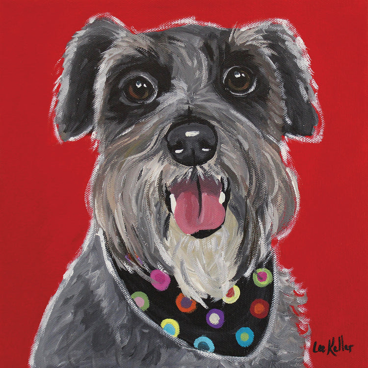 Schnauzer Bandana