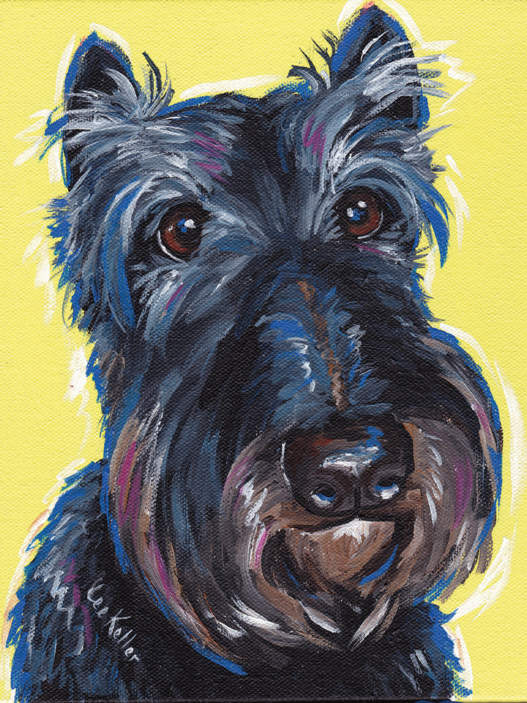 Schnauzer Yellow Expressive