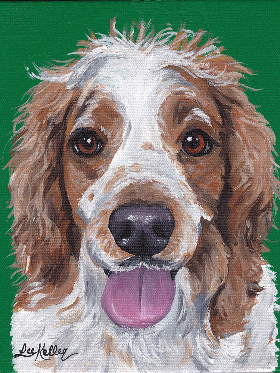 Spaniel 1