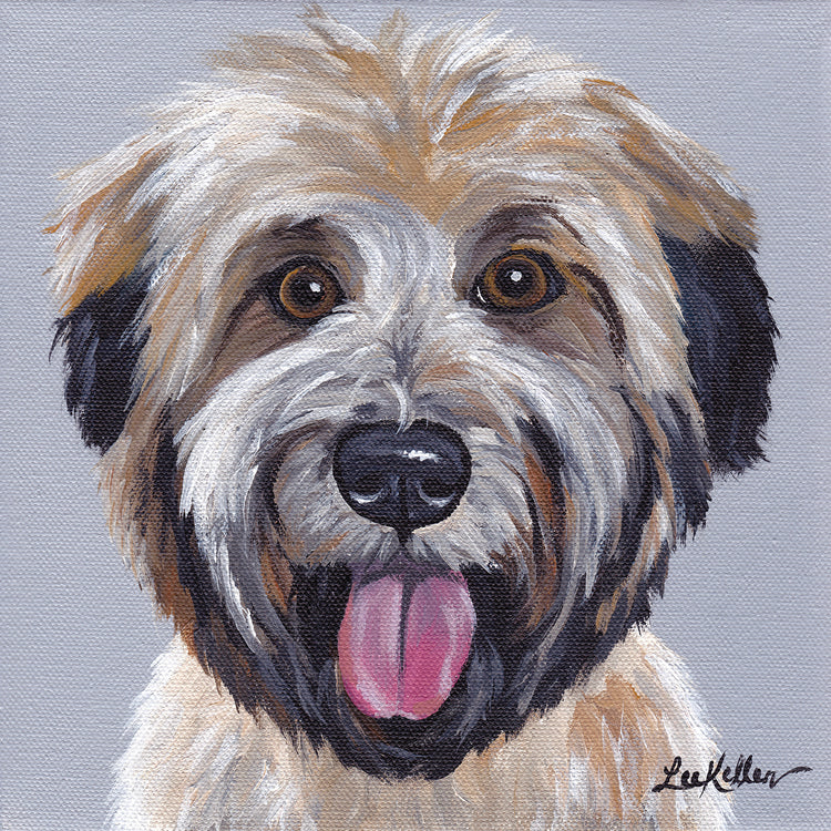 Wheaton Terrier 2