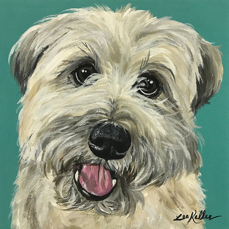 Wheaton Terrier