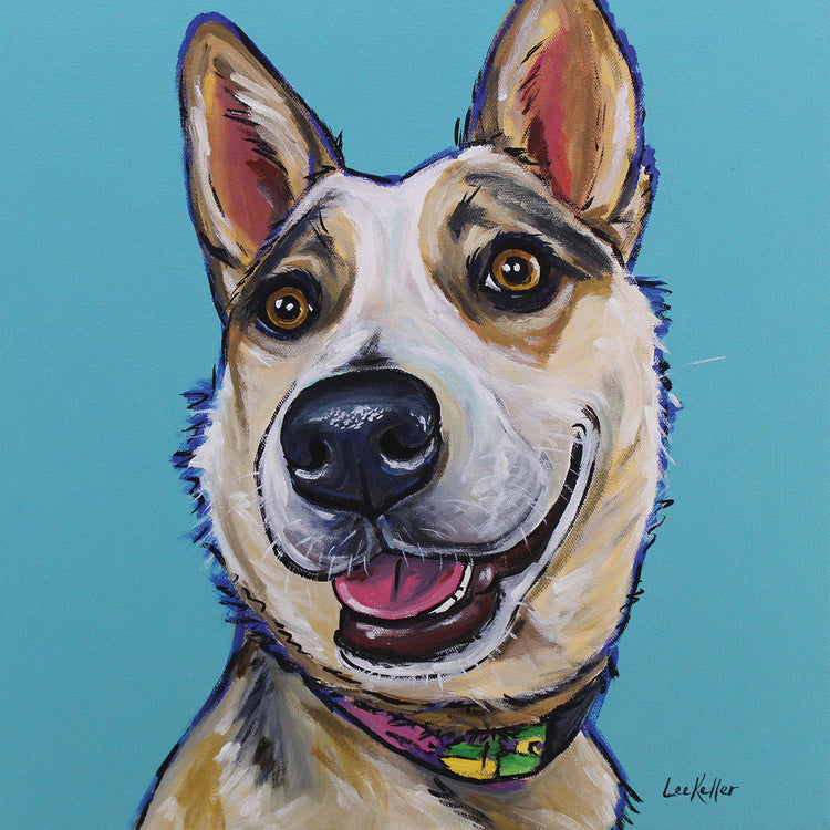 Australian Cattle Dog Mckinley