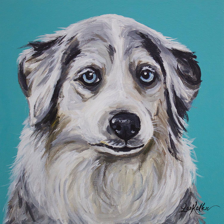 Australian Shepherd Tina