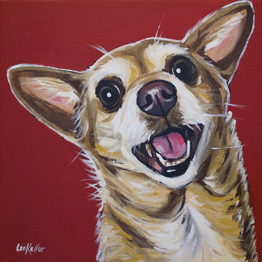 Chihuahua Happy Canvas Print