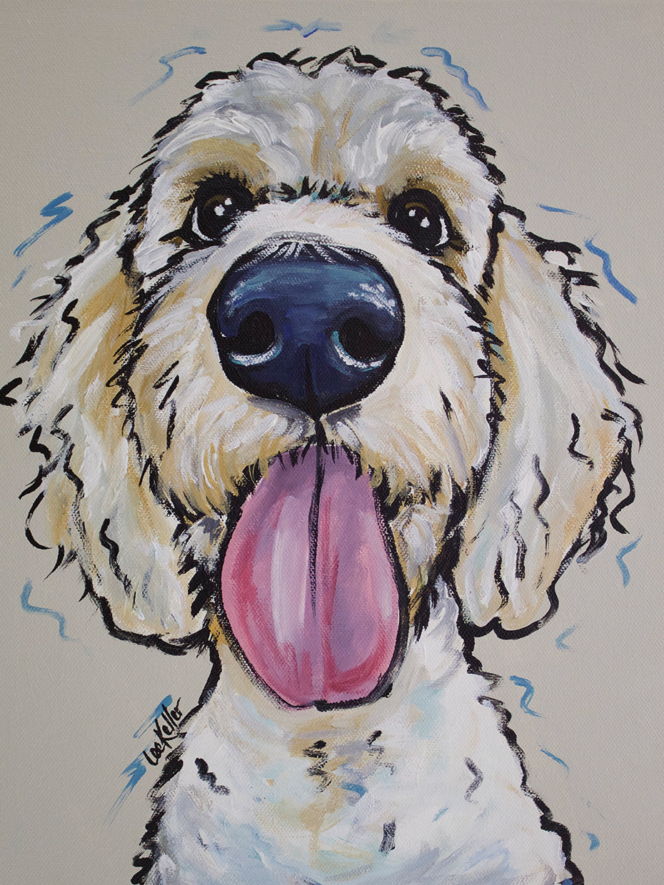 Goldendoodle Murphy