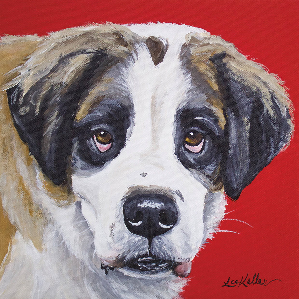 Saint Bernard On Red