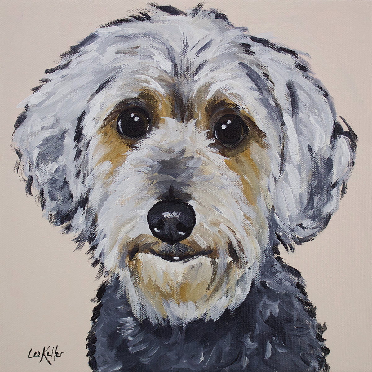 Yorkie Poo Snickers