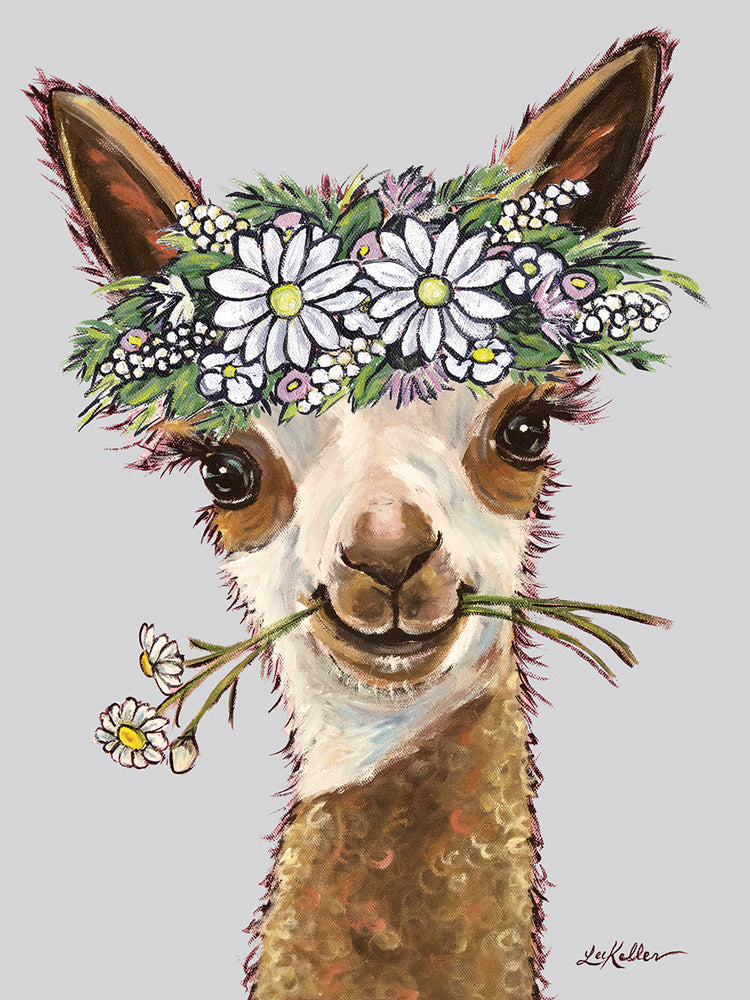 Alpaca Rosie Daisies