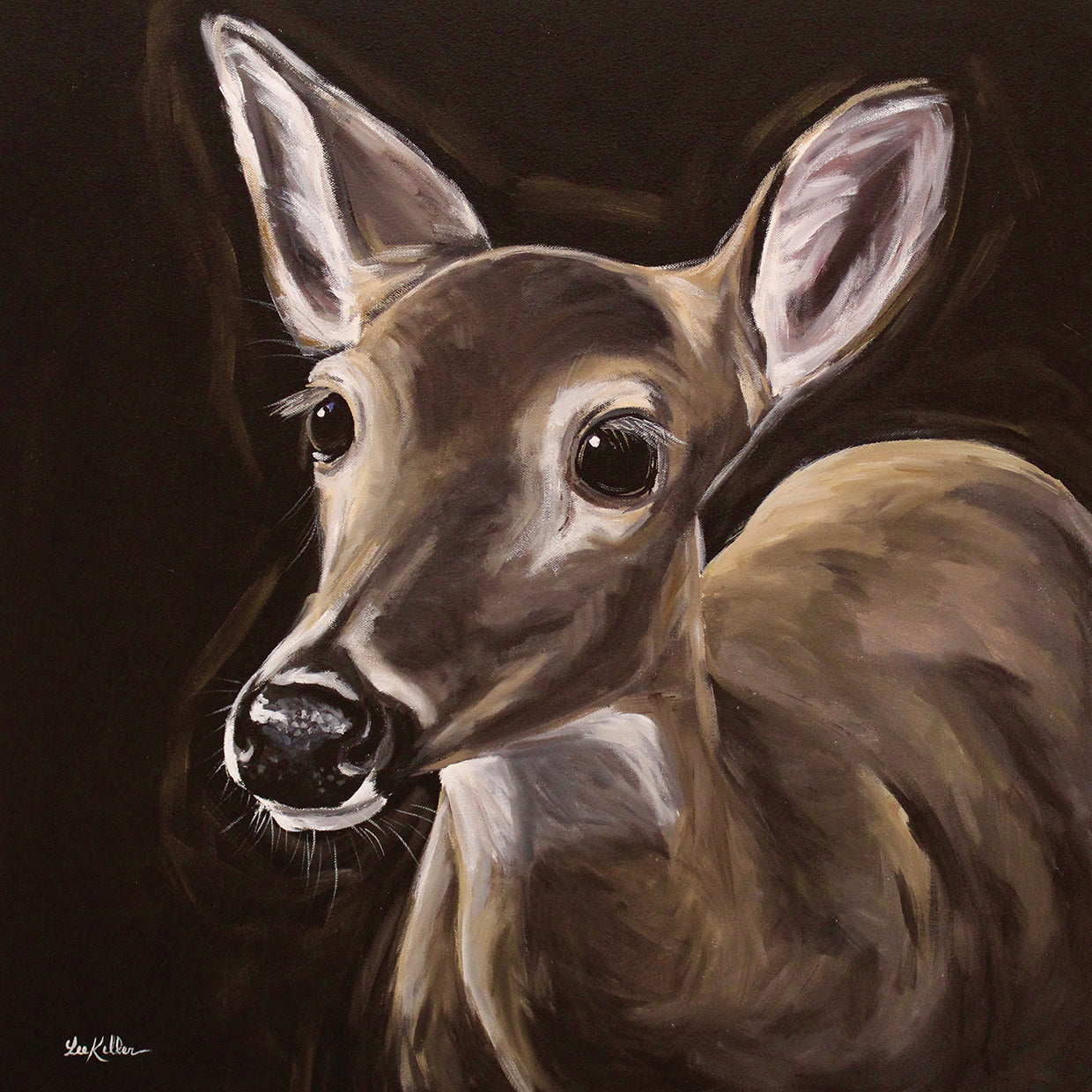 Black Background Deer Doe On Black