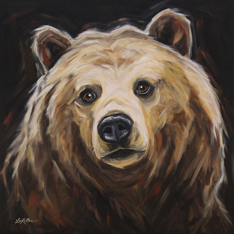 Black Background Grizzly Bear 'Honey'