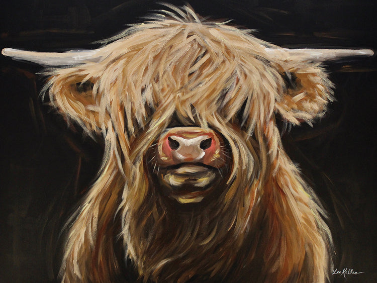 Black Background Highland Cow On Black 1 Shamus