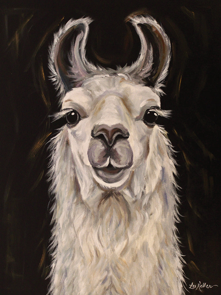 Black Background Llama Blanca