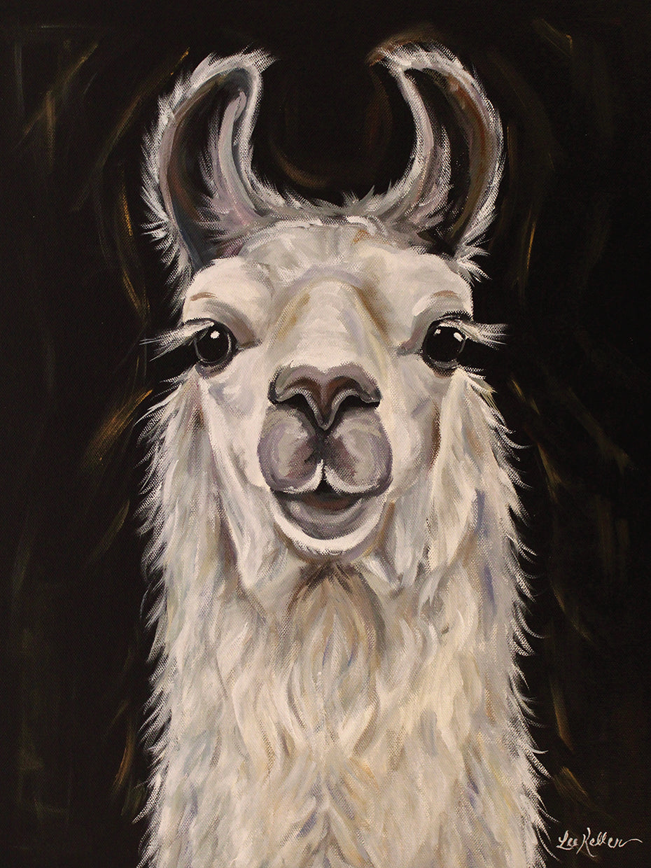 Black Background Llama Blanca