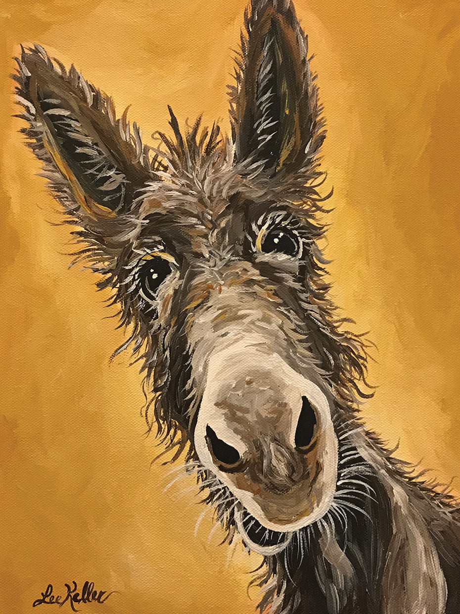 Burro