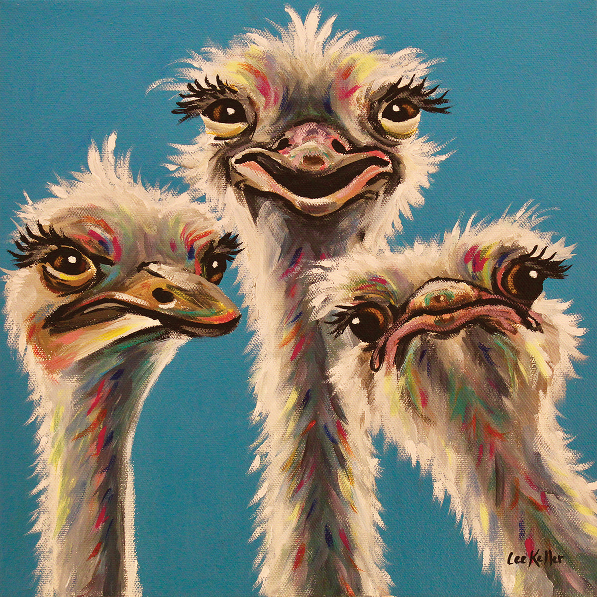 Ostrich Trio