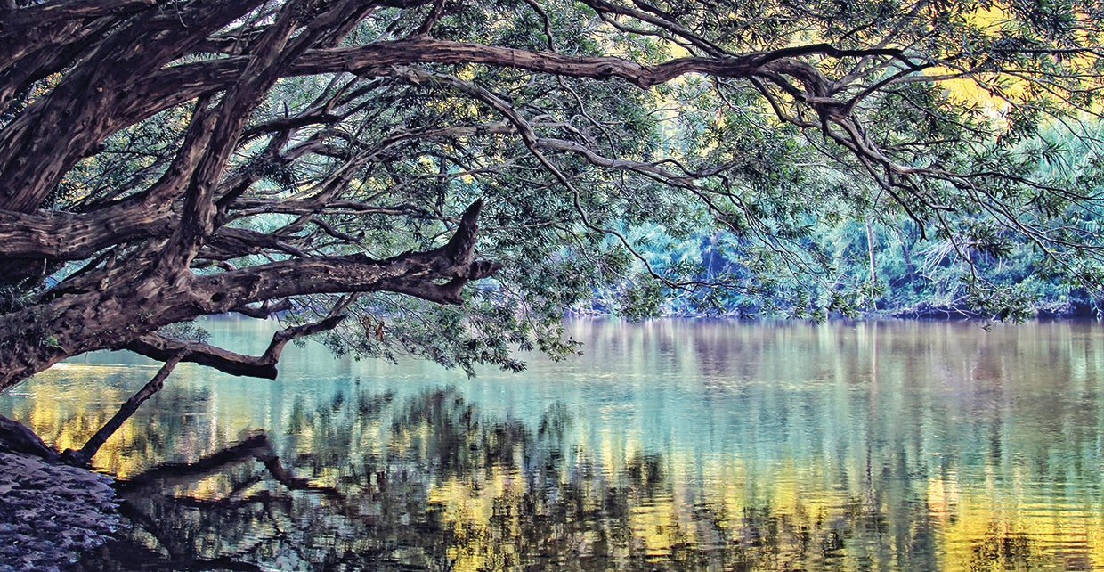 A Place To Dream
