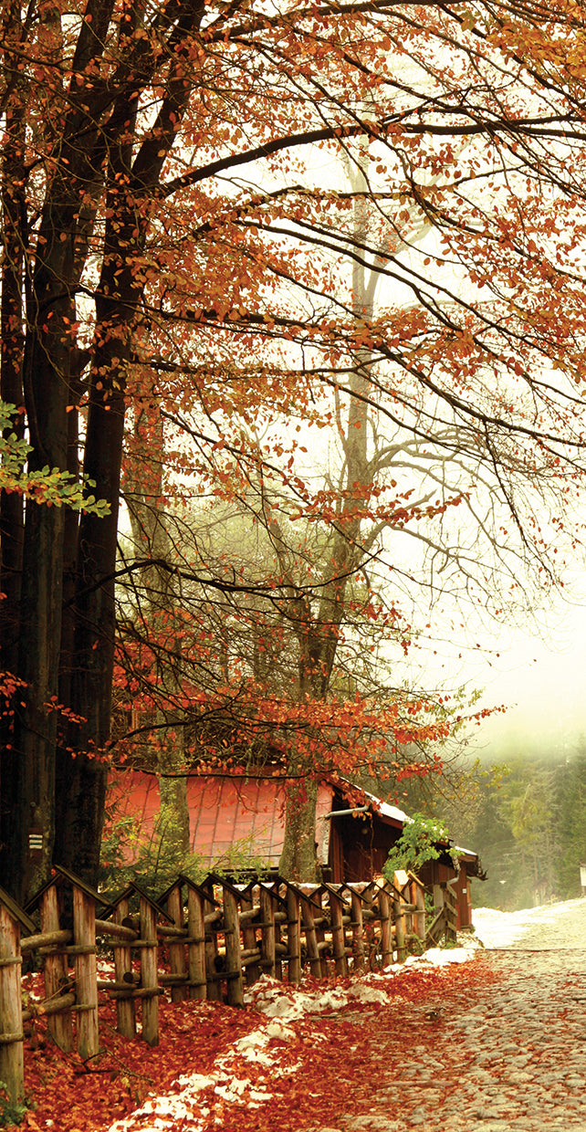 street-of-seasons-incredi
