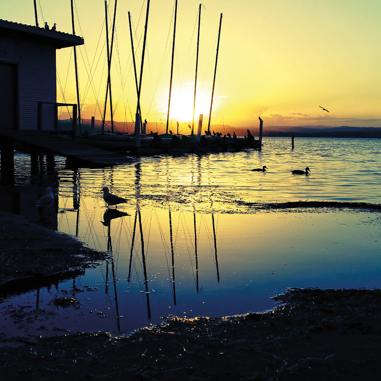 Sunset Conversations